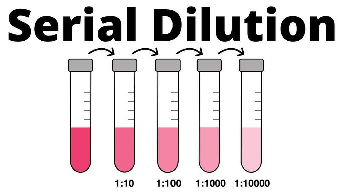 The One Bit of Math Almost All Founders Get Wrong: Dilution - SaaStr